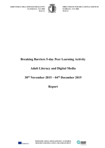 Report Breaking Barriers Peer Learning Activity
