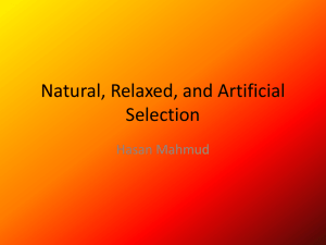 Natural, Relaxed, and Artificial Selection