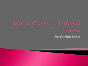 Biome Project- Tropical Forest