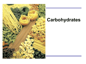 2. Carbohydrates Bio 20