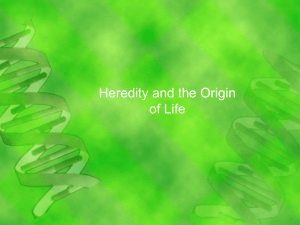 Heredity and the Origin of Life