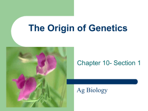 The Origin of Genetics
