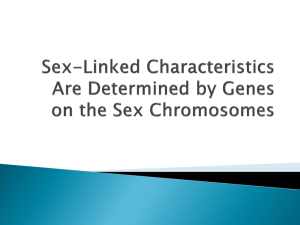 Sex-Linked Characteristics Are Determined by Genes on the Sex