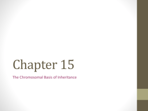 Unit 3 - Chapter 15