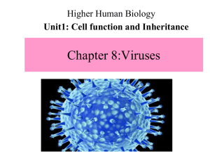 Chapter-8-Viruses