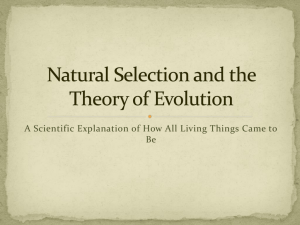 Natural Selection and the Theory of Evolution