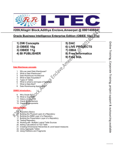 Oracle Business Intelligence Enterprise Edition (OBIEE 10g / 11g)