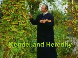 Mendel and Heredity PPT