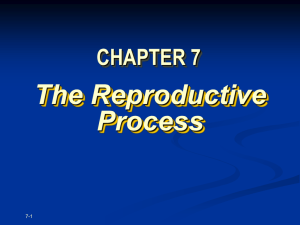 Nature of the Reproductive Process