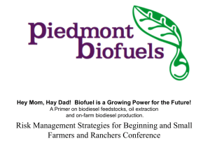 Biodiesel Feedstocks