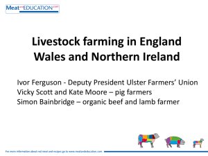 Livestock farming in Northern Ireland, England