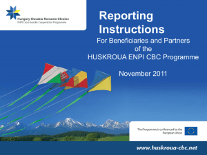 REPORTING Instructions - Hungary-Slovakia-Romania