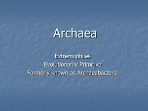 Archaea - Cornell College