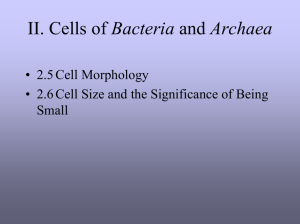 Lecture 4 cell structure
