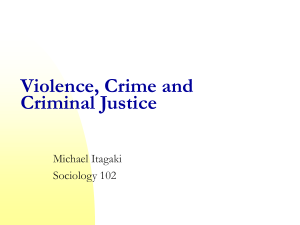 Ch. 5 & 6 Violence, Murder and Rape