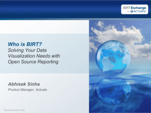 Who is BIRT? Solving Your Data Visualization Needs with