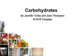 carbohydrates worksheet key