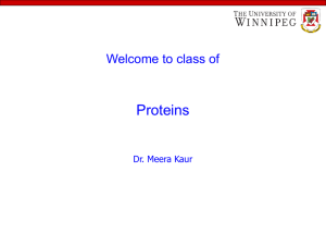 Proteins