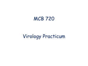 Virology Practicum