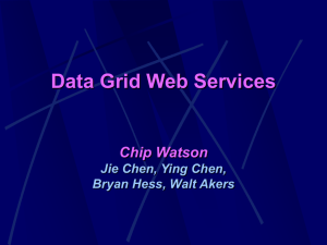 Data Grid Web Services