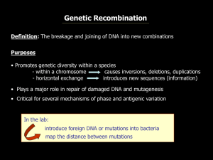 Homologous recombination