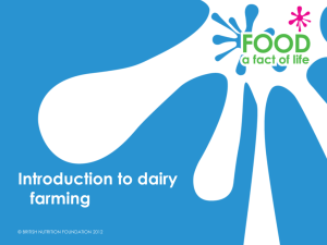 Introduction to dairy farming PowerPoint