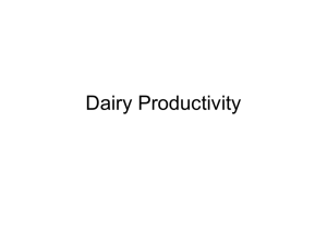 Dairy Productivity - Faculty and Staff