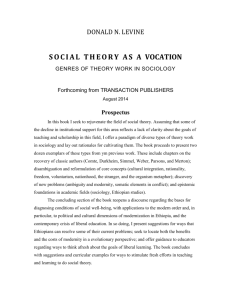 social theory as a vocation
