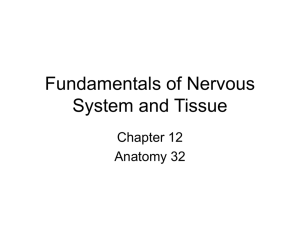 Chapter 12- Intro to NS
