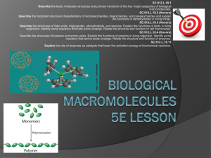 Biological macromolecules 5E LesSon