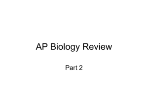 AP Biology Review Part 2