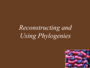 Reconstructing & Using Phylogeny