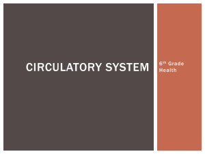 Circulatory system - River Vale Schools