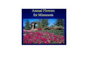 PowerPoint® File  - University of Minnesota Extension