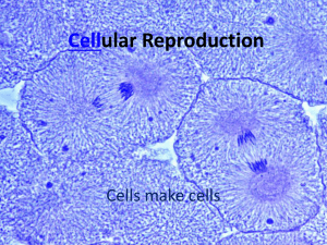 Cellular Reproduction.ppt