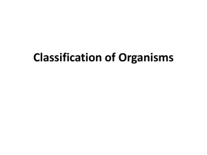 Classification of Organisms quiz