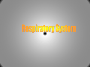 CRYDERS Ch22 Respiratory System