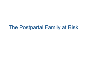The Postpartal Family at Risk