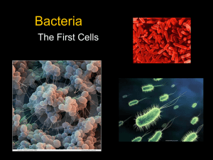 Unit 9 Bacteria