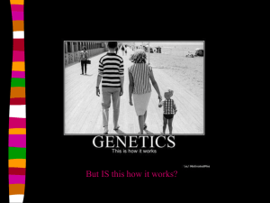 Simple Genetics