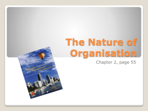The Nature of Organisation