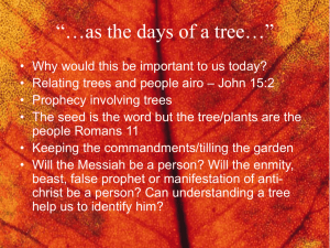 As the Days of a Tree