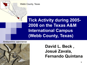 R15-1730-Beck-Tick Activity