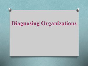 5 - Diagnosing Organizations
