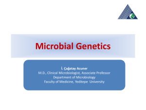 Microbial Genetics