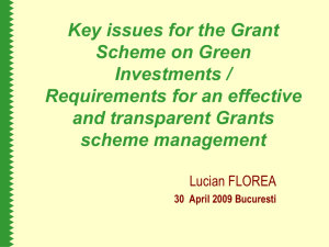 Key issues for the grant scheme