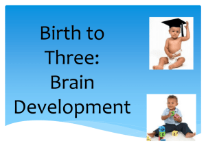 Brain Development Research: Implications for Parents and Teachers