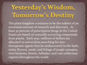 Yesterday's Wisdom, Tomorrow's Destiny