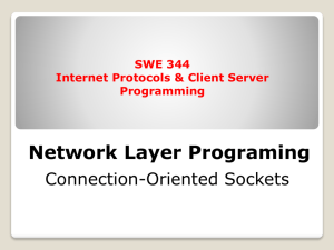 Lecture 12 Network Layer Programing