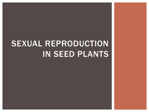 Sexual Reproduction in Seed Plants